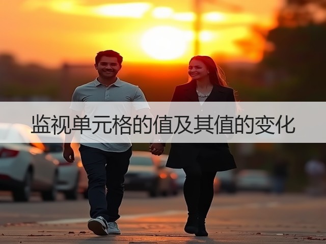 监视单元格的值及其值的变化(图2) 监视单元格的值及其值的变化(图2)