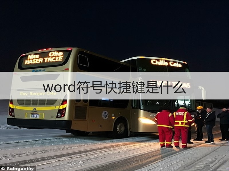 word符号快捷键是什么 - 诺云壹观办公网