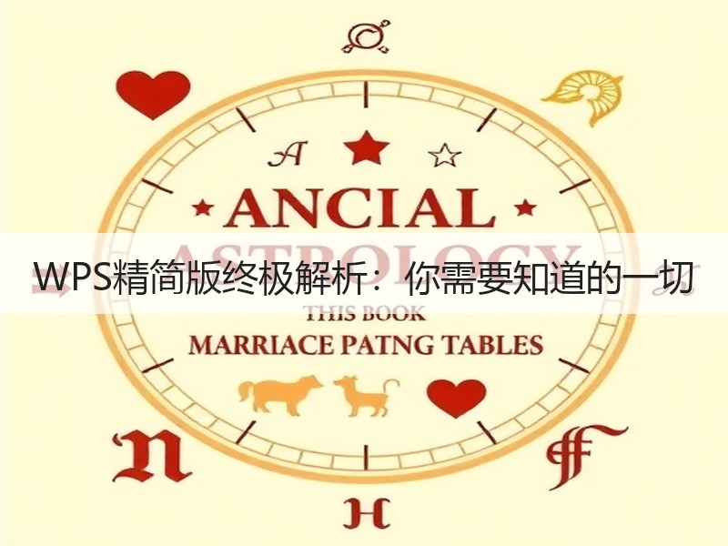 WPS精简版终极解析：你需要知道的一切 - 诺云壹观办公网