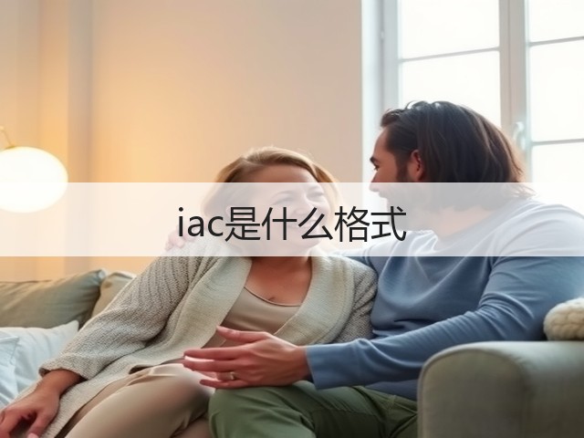 iac是什么格式(图3)
