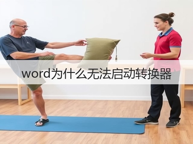 word为什么无法启动转换器(图3) word为什么无法启动转换器(图3)