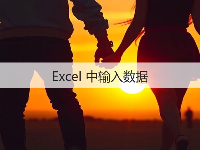 Excel 中输入数据(图3) Excel 中输入数据(图3)