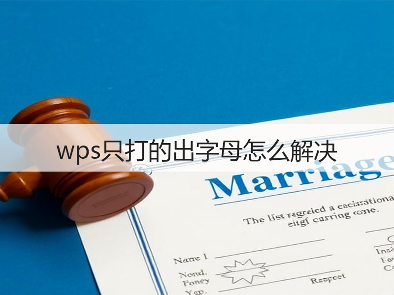 wps只打的出字母怎么解决 - 诺云壹观办公网