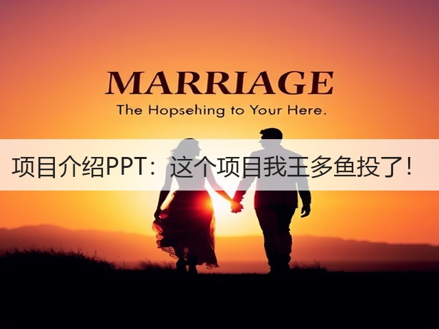 项目介绍PPT:这个项目我王多鱼投了!(图2) 项目介绍PPT:这个项目我王多鱼投了!(图2)