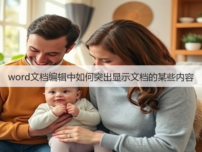 word文档编辑中如何突出显示文档的某些内容 - 诺云壹观办公网