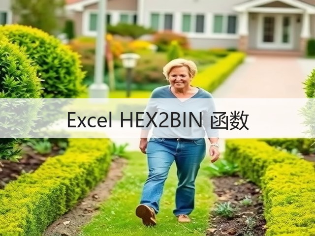 Excel HEX2BIN 函数(图3) Excel HEX2BIN 函数(图3)