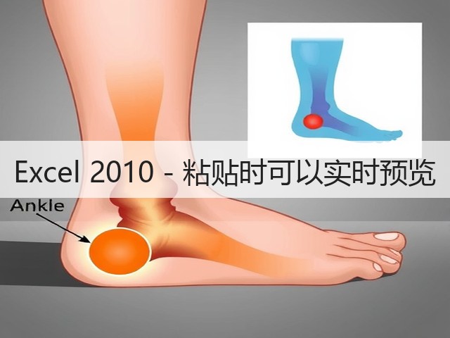 Excel 2010 - 粘贴时可以实时预览(图2)