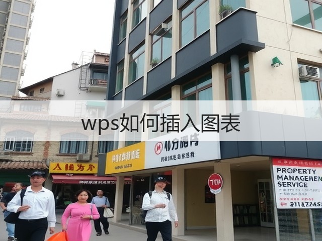 wps如何插入图表(图3) wps如何插入图表(图3)