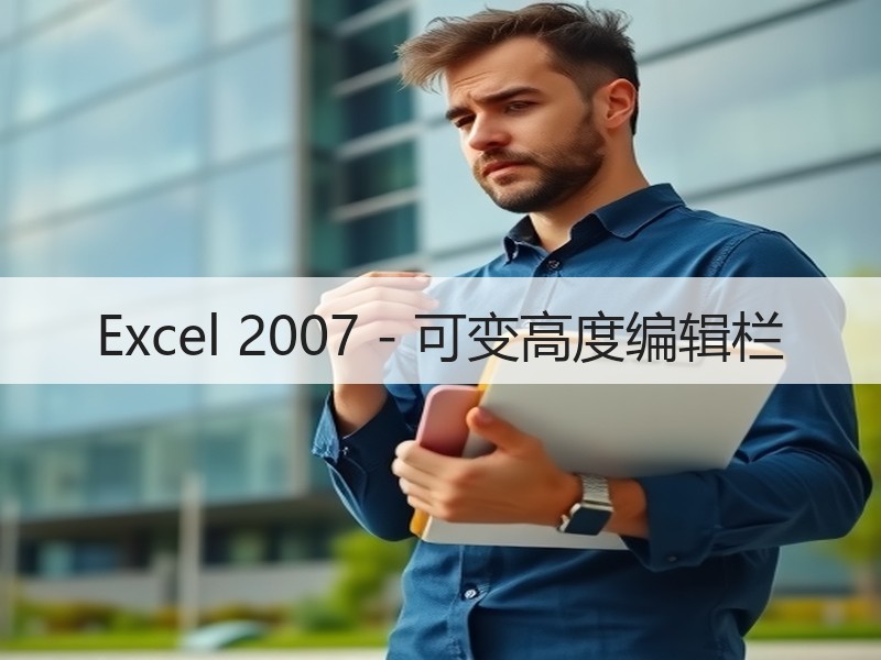 Excel 2007 - 可变高度编辑栏 - 诺云壹观办公网