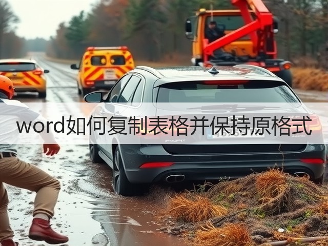 word如何复制表格并保持原格式(图3)