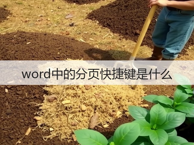 word中的分页快捷键是什么(图1) word中的分页快捷键是什么(图1)