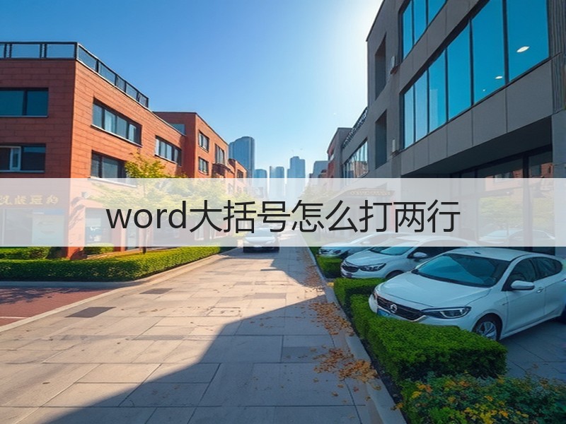 word大括号怎么打两行 - 诺云壹观办公网