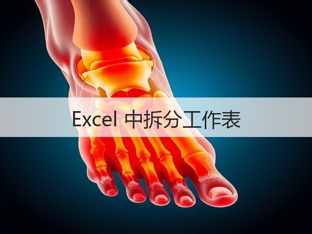 Excel 中拆分工作表(图3) Excel 中拆分工作表(图3)