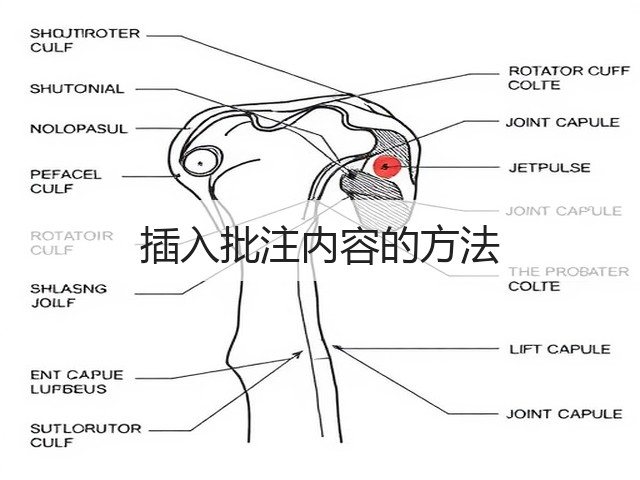 插入批注内容的方法(图2) 插入批注内容的方法(图2)