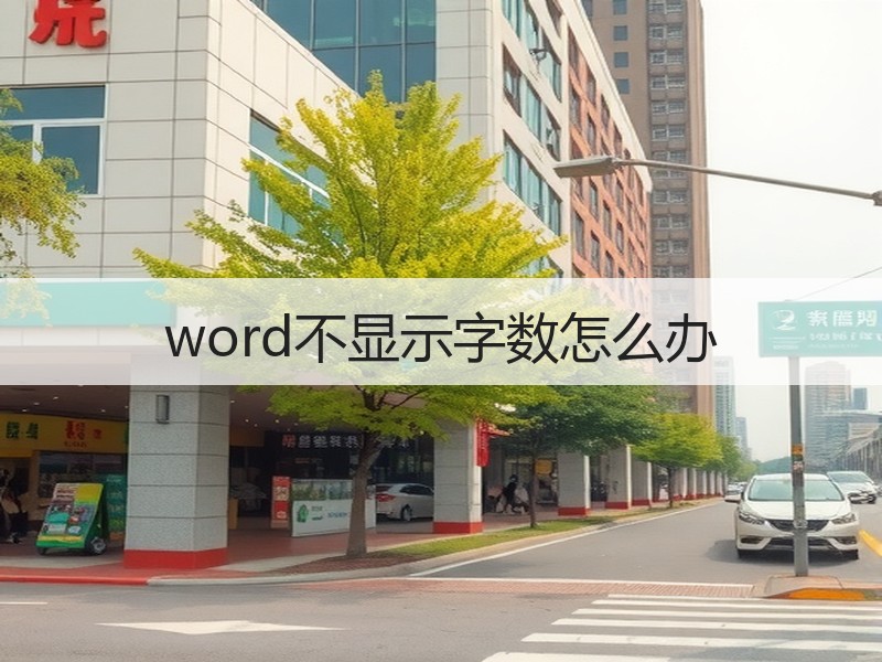 word不显示字数怎么办 - 诺云壹观办公网