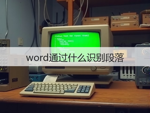 word通过什么识别段落(图3)