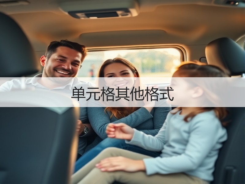 单元格其他格式 - 诺云壹观办公网