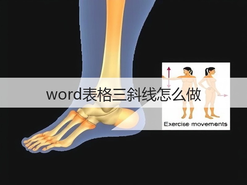 word表格三斜线怎么做 - 诺云壹观办公网