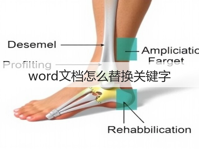 word文档怎么替换关键字(图3) word文档怎么替换关键字(图3)