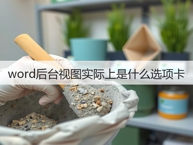 word后台视图实际上是什么选项卡(图2) word后台视图实际上是什么选项卡(图2)