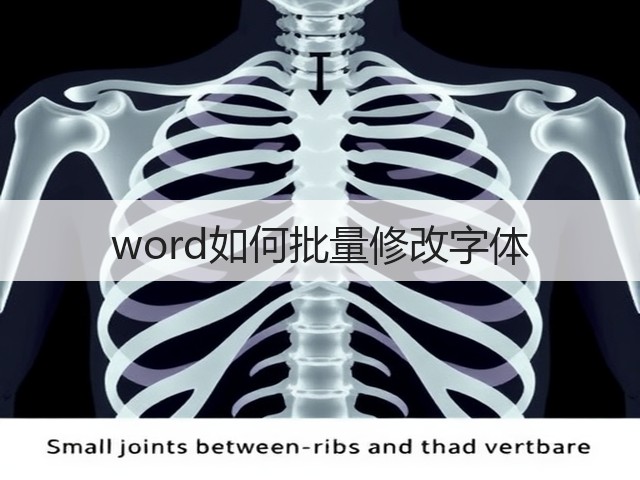 word如何批量修改字体(图2) word如何批量修改字体(图2)
