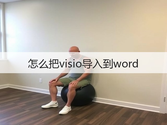 怎么把visio导入到word(图1) 怎么把visio导入到word(图1)