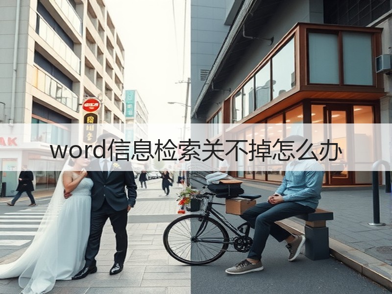 word信息检索关不掉怎么办 - 诺云壹观办公网