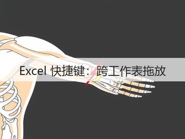 Excel 快捷键：跨工作表拖放(图2)