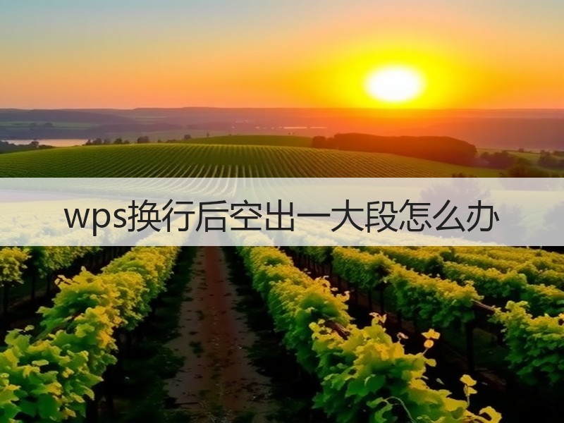 wps换行后空出一大段怎么办 - 诺云壹观办公网