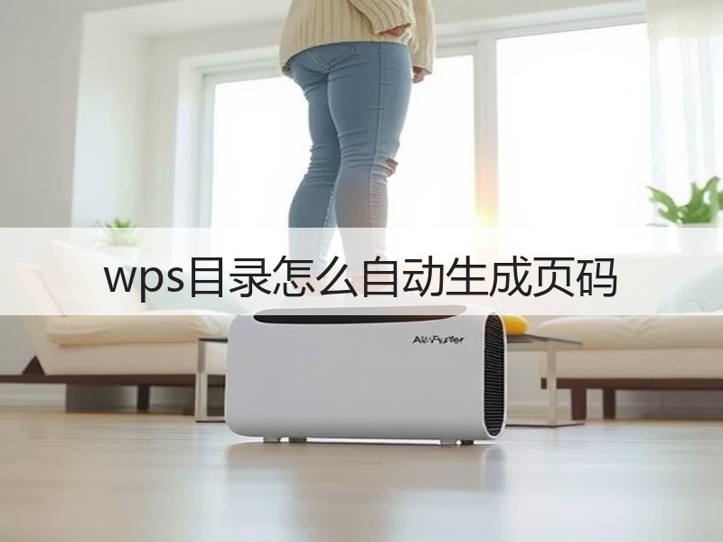 wps目录怎么自动生成页码 - 诺云壹观办公网