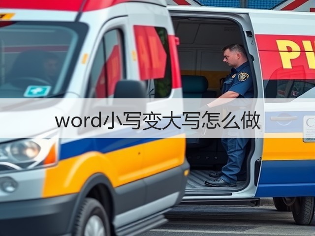 word小写变大写怎么做(图2)