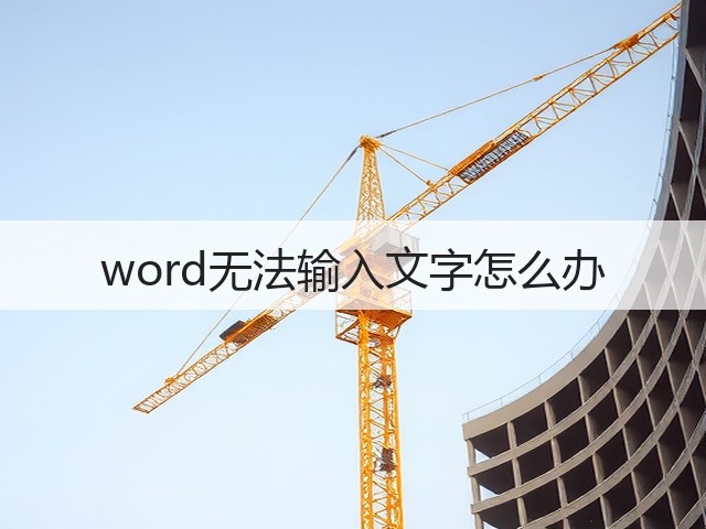 word无法输入文字怎么办(图3)