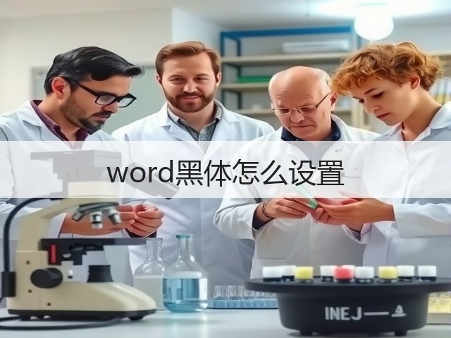 word黑体怎么设置(图3)
