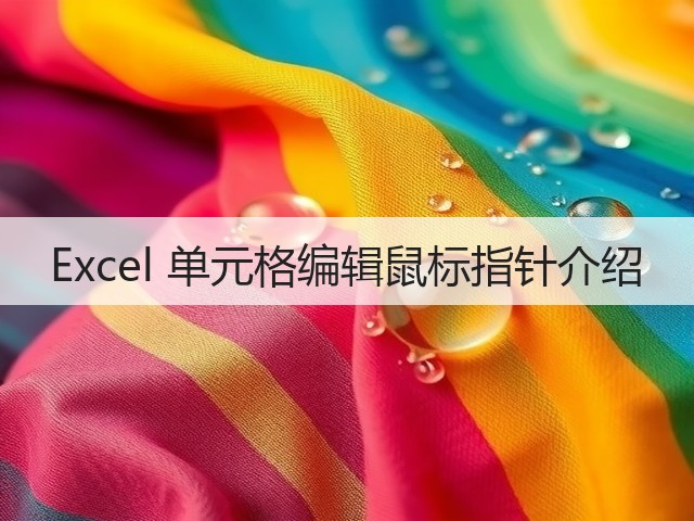 Excel 单元格编辑鼠标指针介绍(图1)