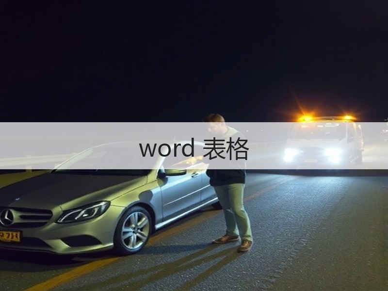 word 表格 - 诺云壹观办公网