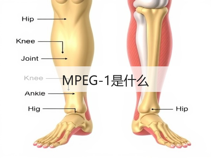 MPEG-1是什么 - 诺云壹观办公网