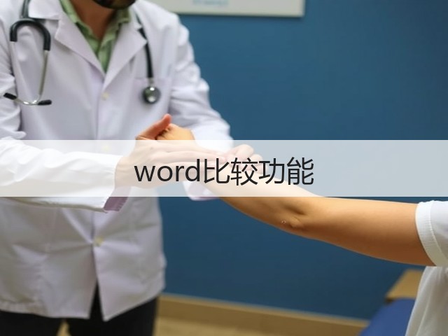 word比较功能(图1)