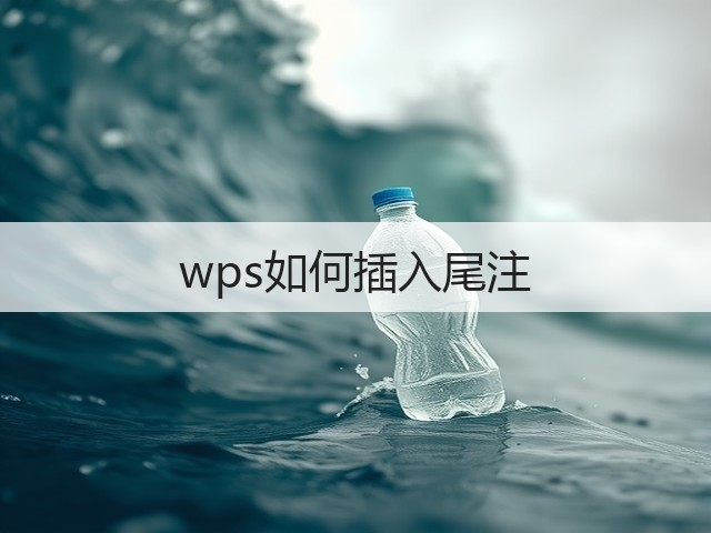 wps如何插入尾注(图2) wps如何插入尾注(图2)