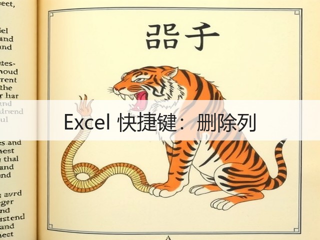 Excel 快捷键:删除列(图1) Excel 快捷键:删除列(图1)