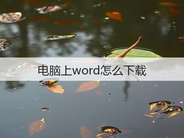 电脑上word怎么下载(图1)