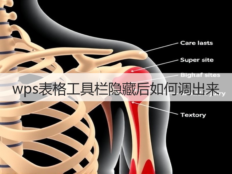 wps表格工具栏隐藏后如何调出来 - 诺云壹观办公网