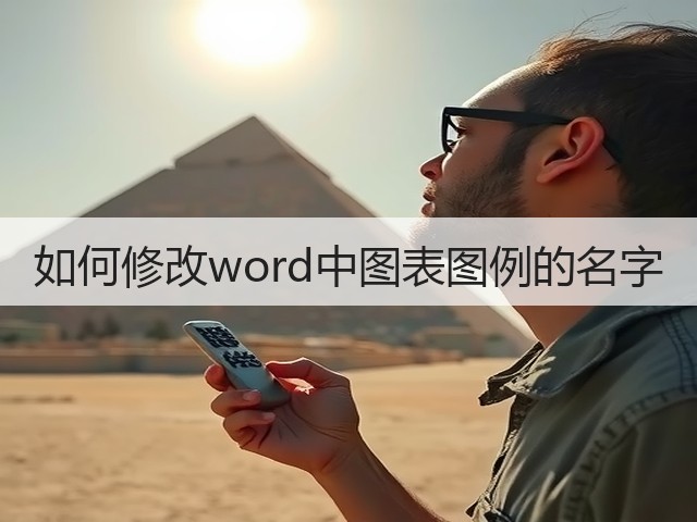 如何修改word中图表图例的名字(图2)
