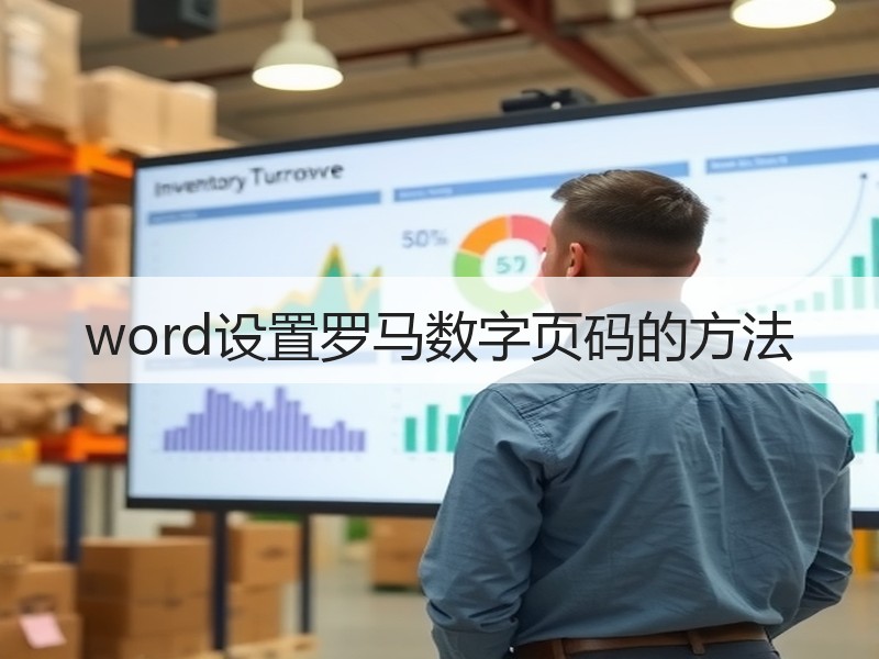 word设置罗马数字页码的方法 - 诺云壹观办公网