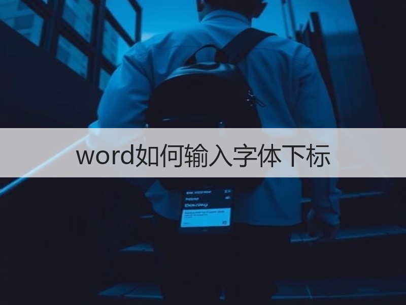 word如何输入字体下标 - 诺云壹观办公网