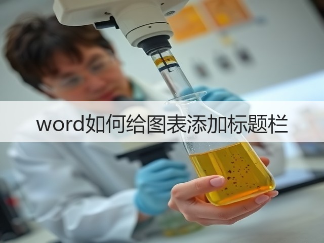 word如何给图表添加标题栏(图2)