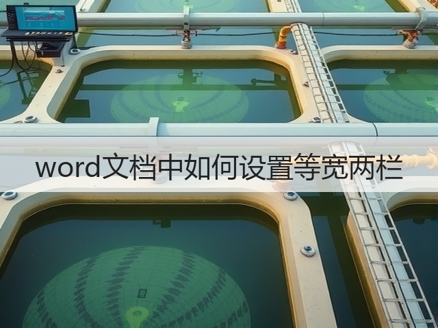 word文档中如何设置等宽两栏(图2)