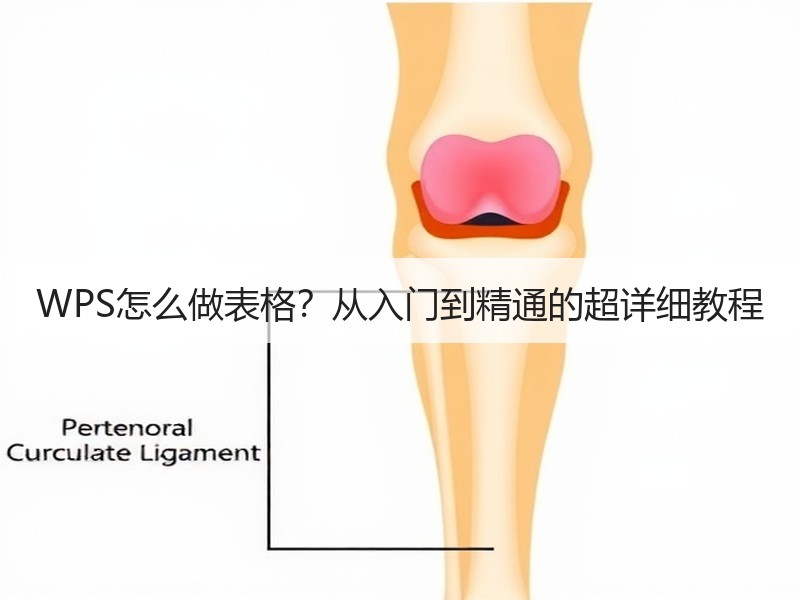 WPS怎么做表格？从入门到精通的超详细教程 - 诺云壹观办公网