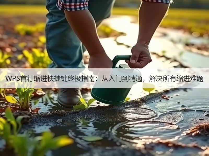WPS首行缩进快捷键终极指南：从入门到精通，解决所有缩进难题 - 诺云壹观办公网