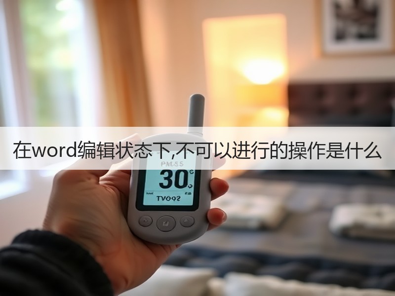 在word编辑状态下,不可以进行的操作是什么 - 诺云壹观办公网
