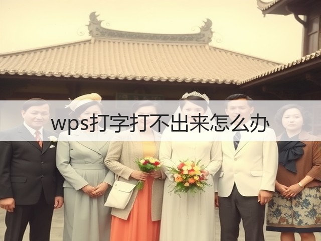 wps打字打不出来怎么办(图1) wps打字打不出来怎么办(图1)